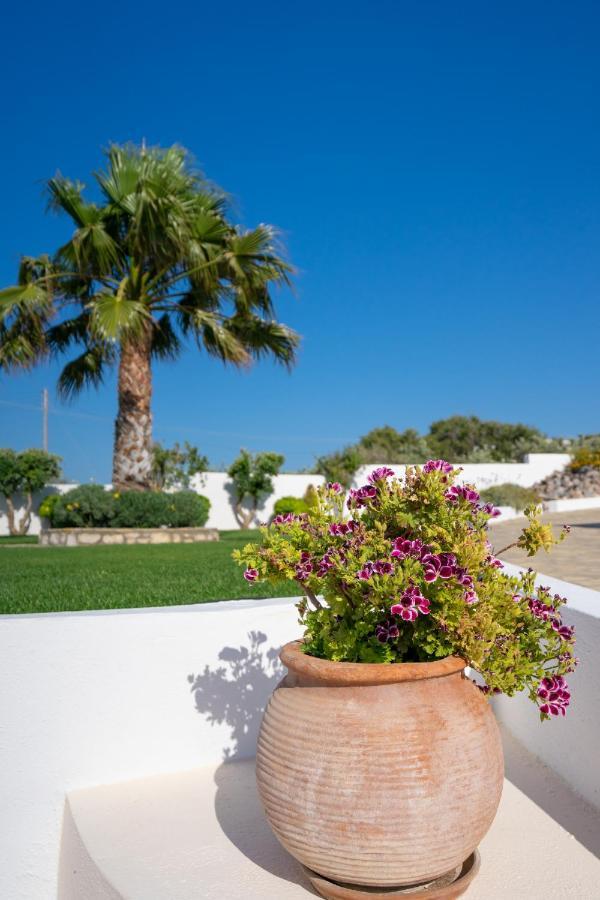 Georgia'S Apartments Kouremenos Beach Anevato Bagian luar foto
